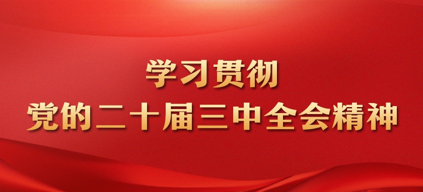 金牌实业再次开展学习党的二十届三中全会精神党课教育活动